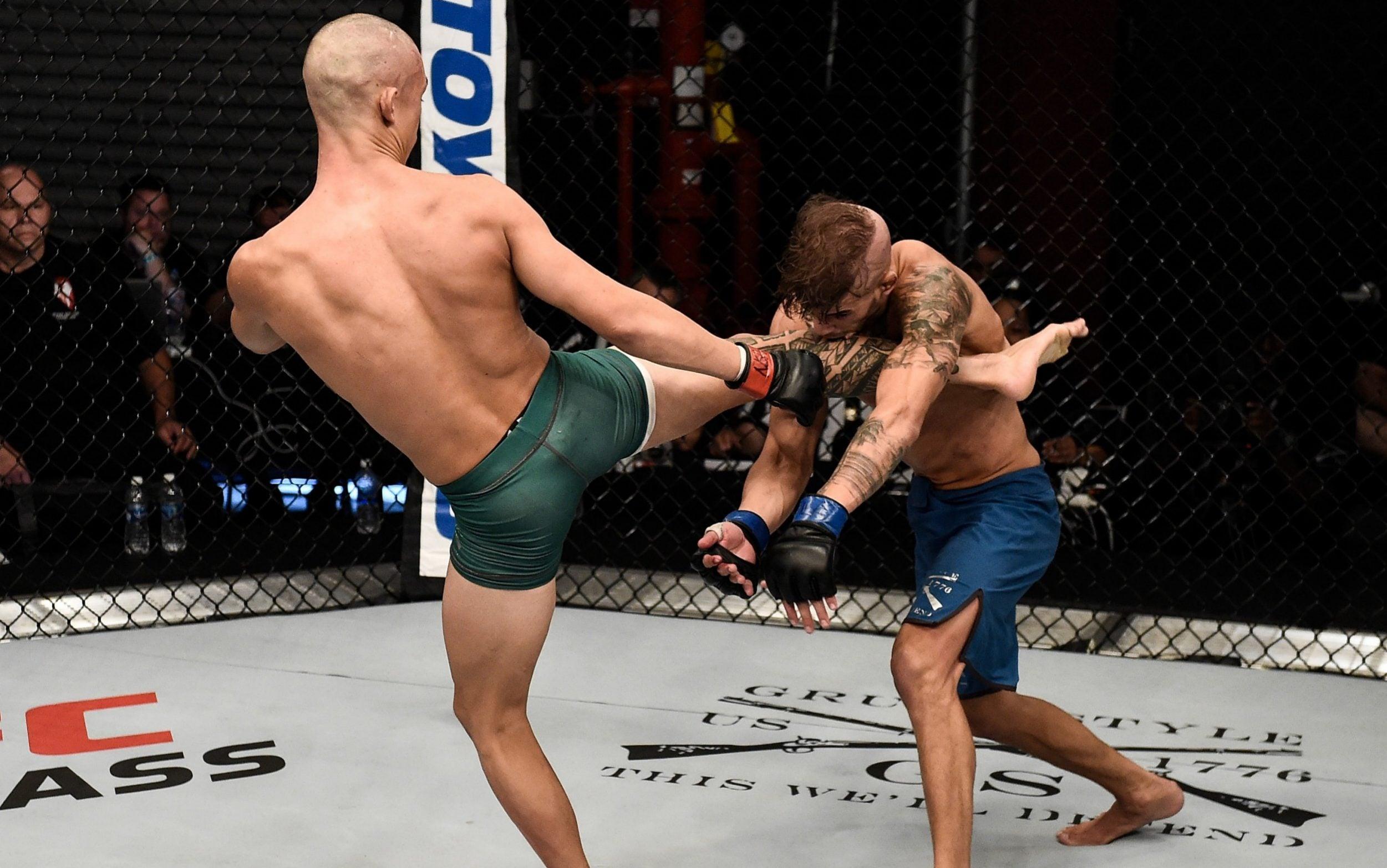 2501x1566 What is UFC, what is MMA and what are the rules?