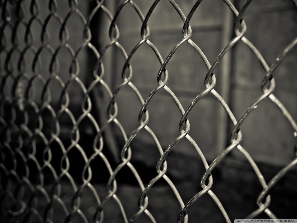 1024x768 Grid Fence Ultra HD Desktop Background Wallpaper for 4K UHD TV : Widescreen & UltraWide Desktop & Laptop : Multi Display, Dual Monitor : Tablet