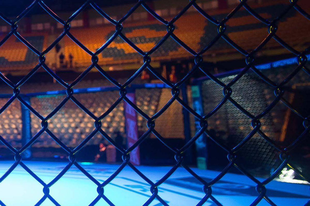 1200x800 Video: MMA fighter suspended after child hurt in cageside incident