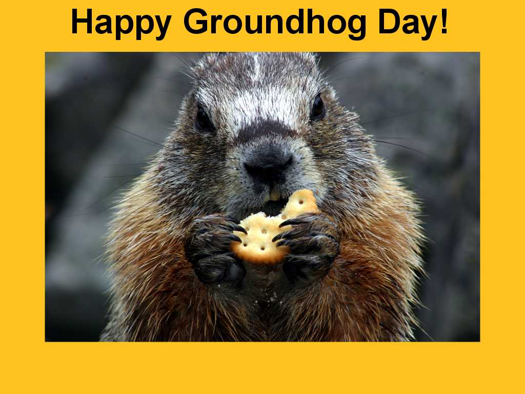 1024x768 Happy Groundhog Day Wallpaper