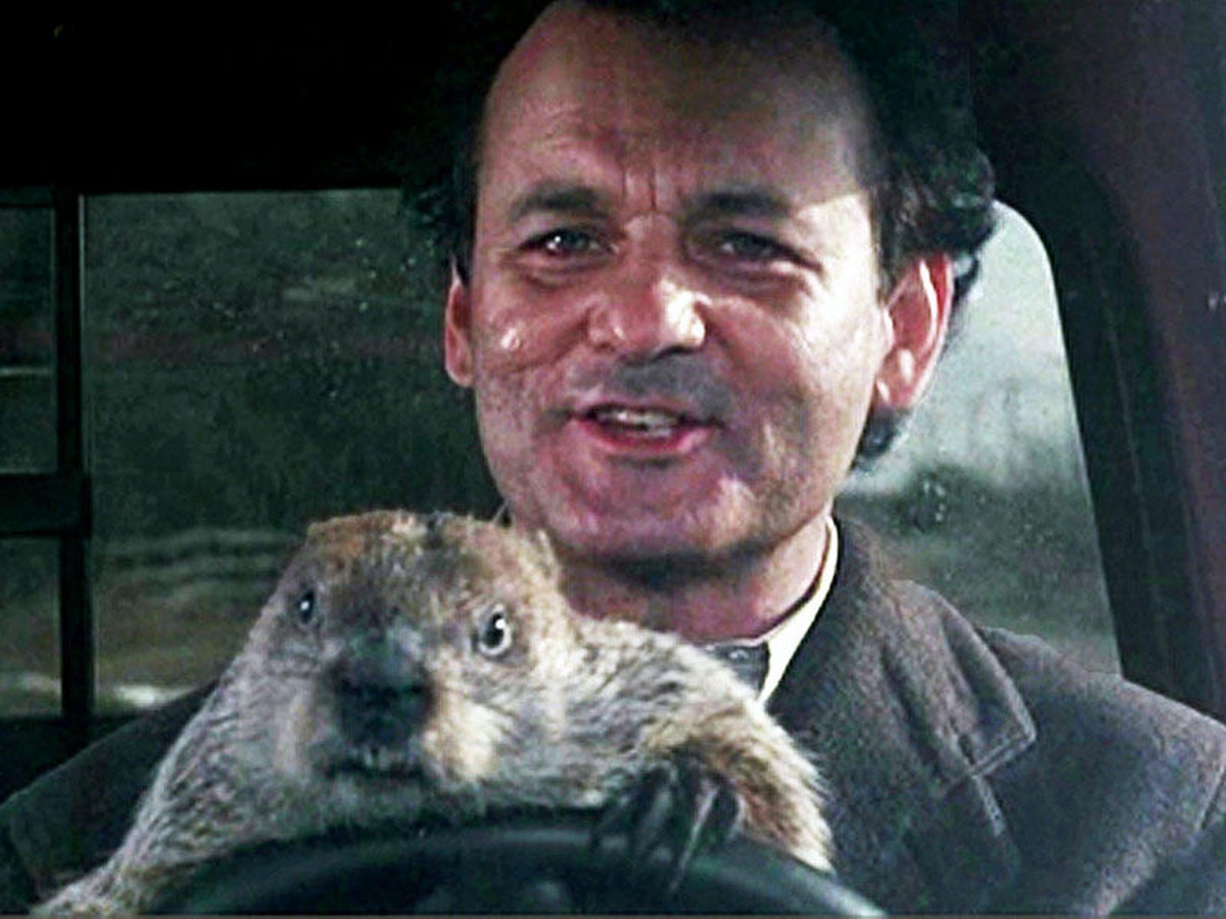 Happy Groundhog Day Wallpapers Top Free Happy Groundhog Day