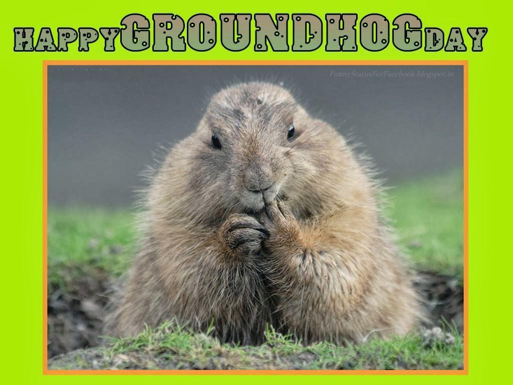 Happy Groundhog Day Wallpapers - Top Free Happy Groundhog Day ...