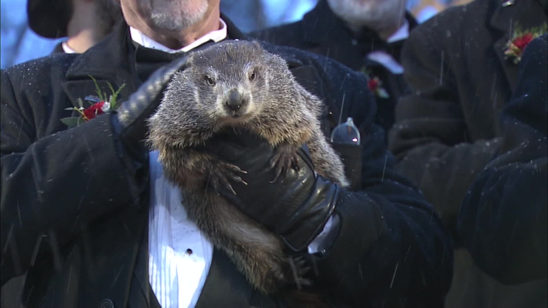1920x1080 Groundhog Day Fast Facts