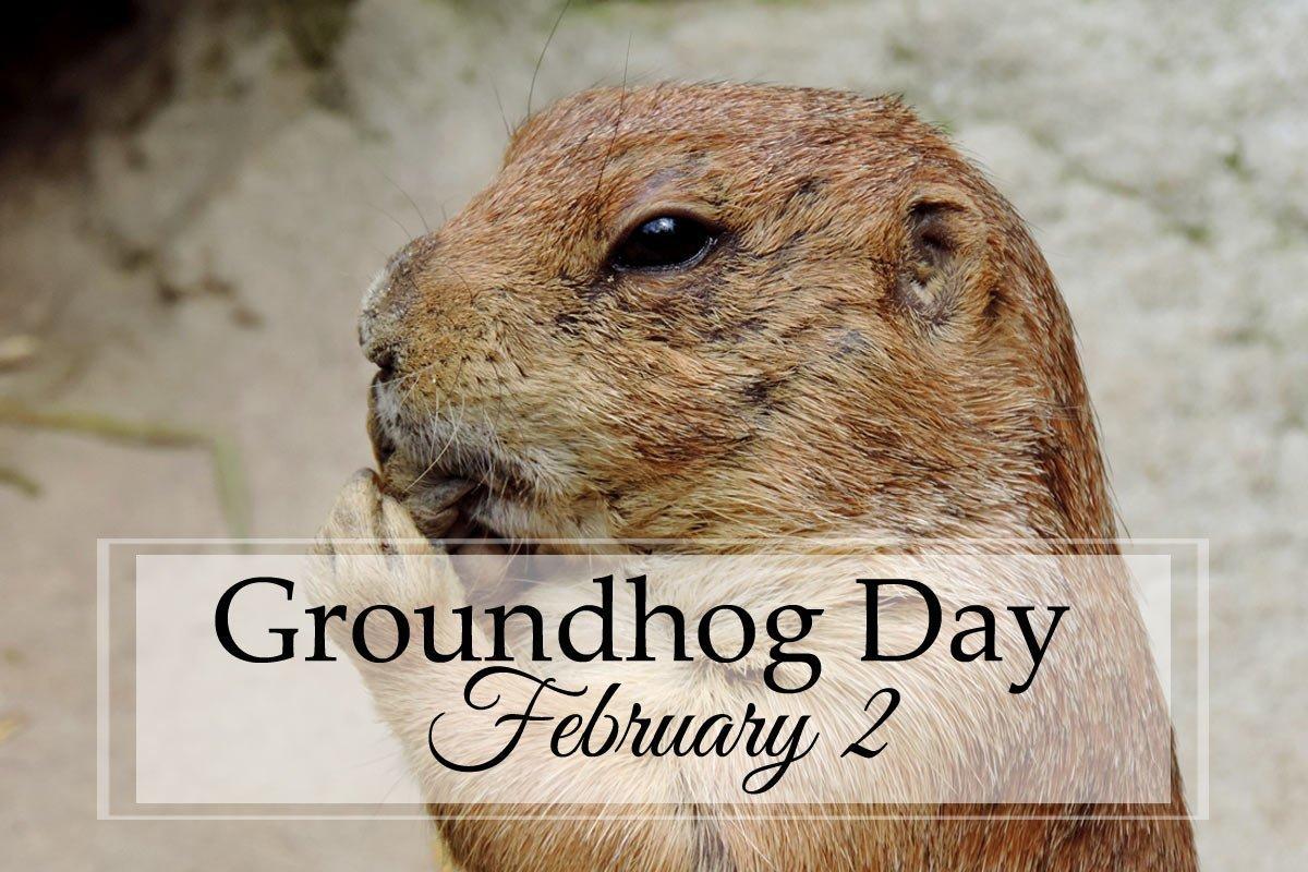 1200x800 Groundhog Day: A Unit Study