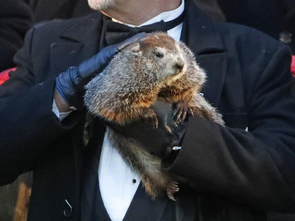 1024x768 Happy Groundhog Day. The Free Range Classroom
