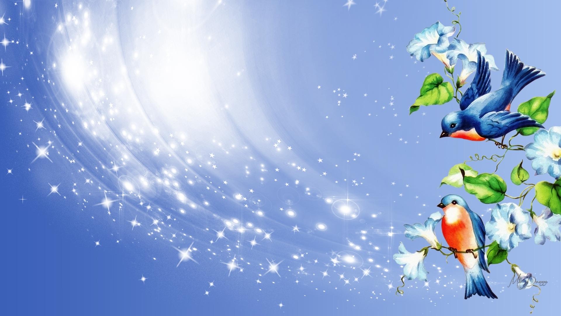1920x1080 HD Wallpaper for theme: morning glories HD wallpaper, background