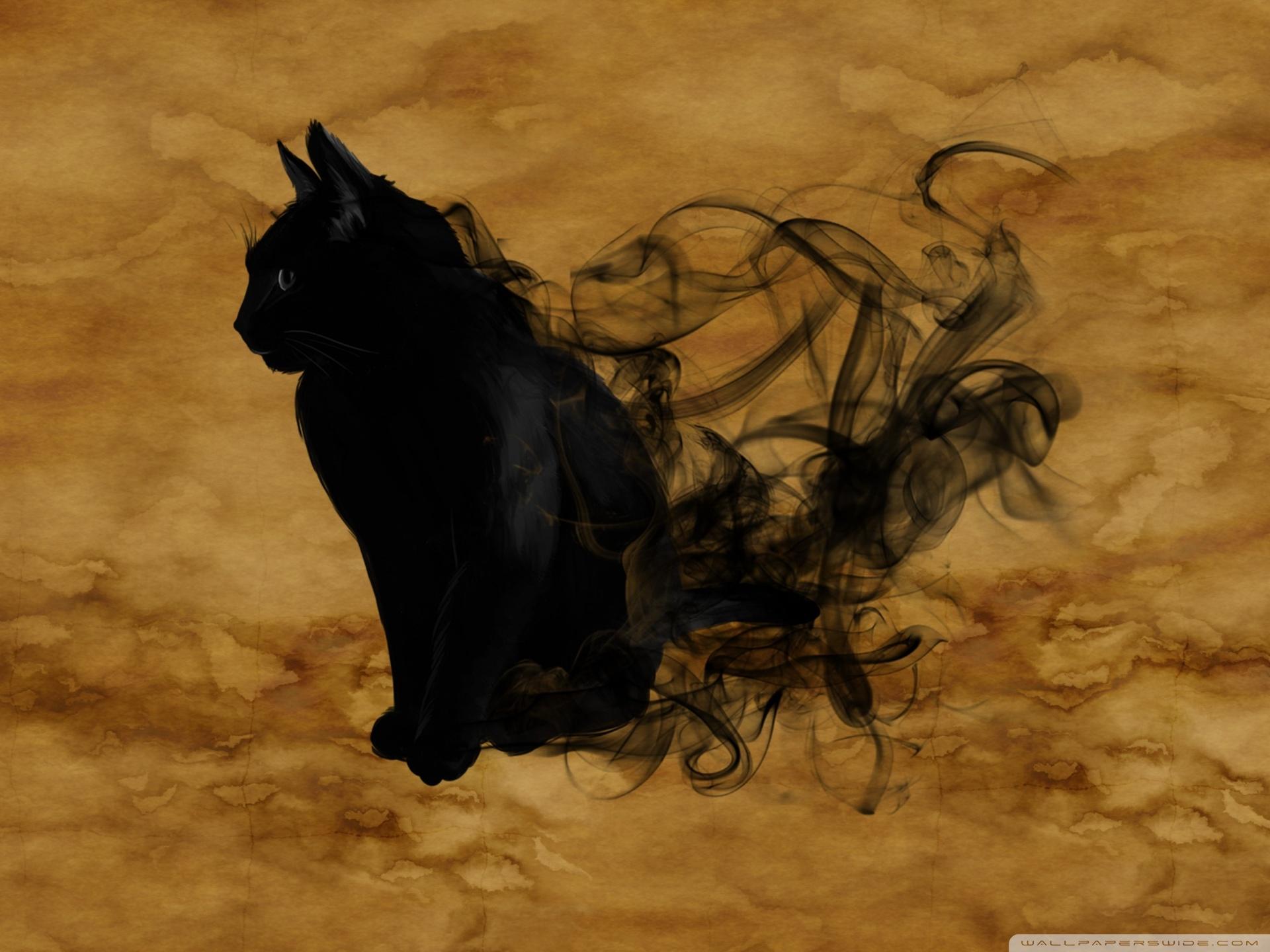 1920x1440 Halloween Black Cat Ultra HD Desktop Background Wallpaper for 4K UHD TV : Widescreen & UltraWide Desktop & Laptop : Tablet