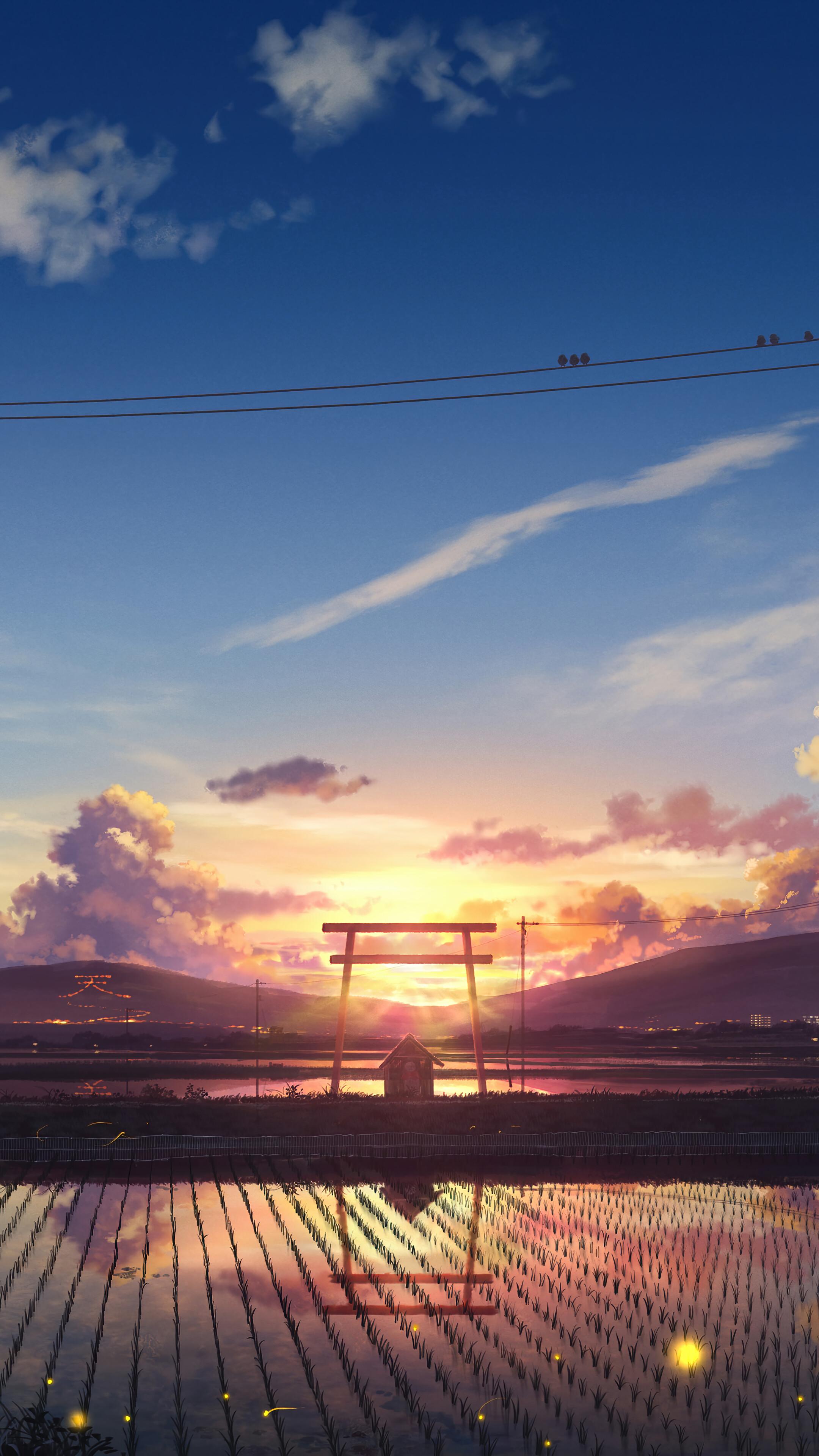 2160x3840 Sunrise, Anime, Scenery, Paddy Field, Farm, 4K phone HD Wallpaper, Image, Background, Photo and Picture Gallery HD Wallpaper