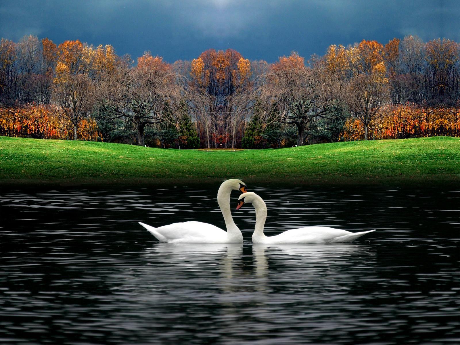 1600x1200 Most beautiful Picture in the World. Beautiful image nature, Beautiful photo of nature, Nature image