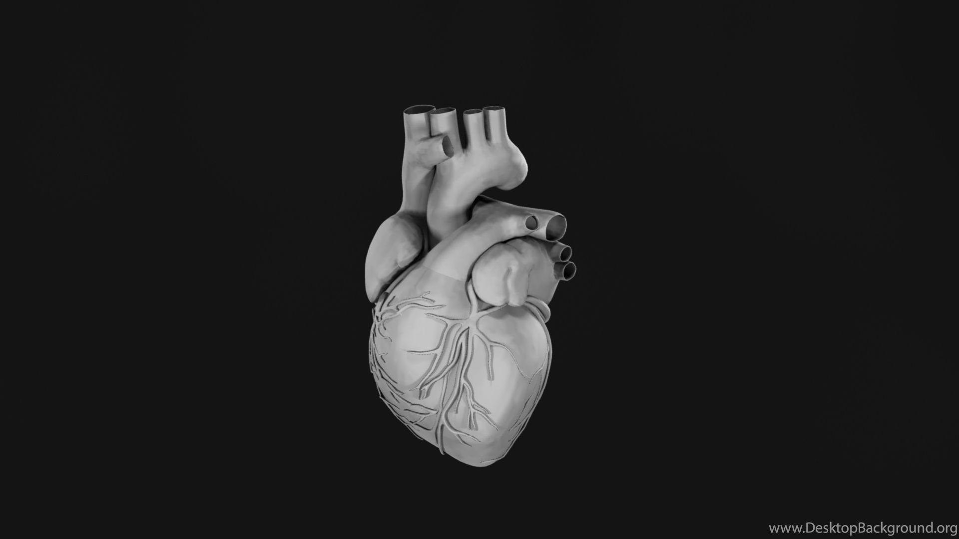 Aggregate 52+ anatomical heart wallpaper best - in.cdgdbentre