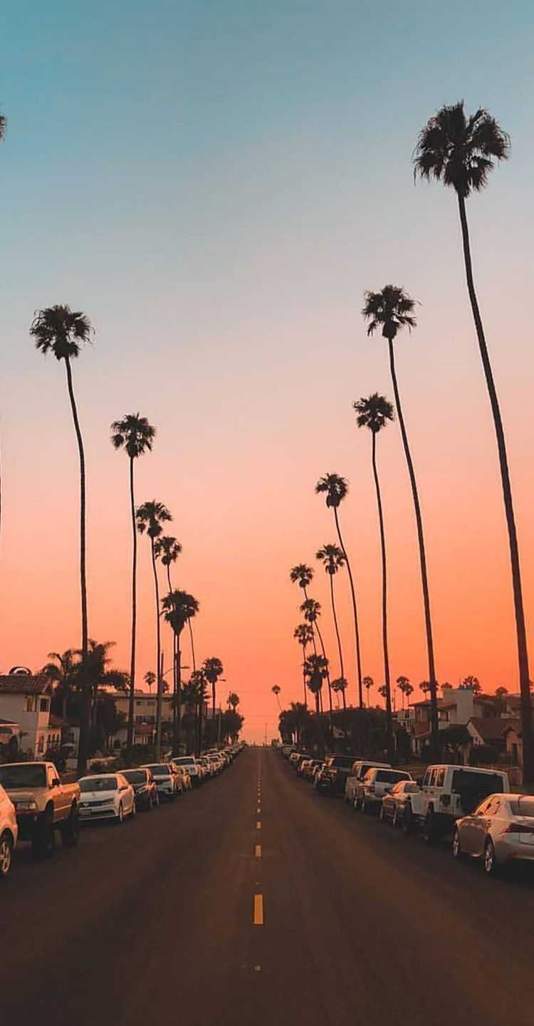 750x1441 HD Aesthetics Wallpaper