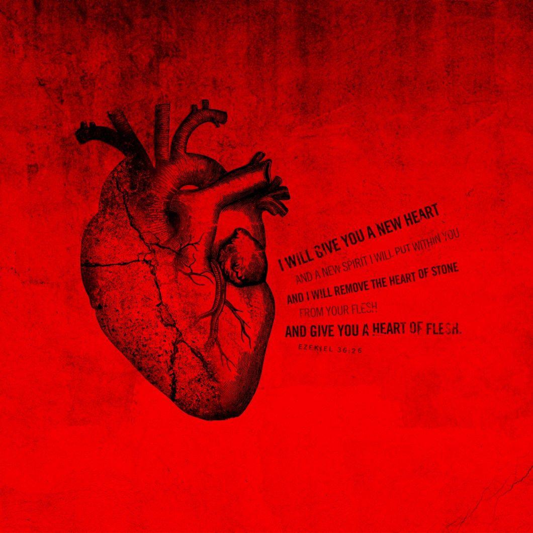 Real Heart Wallpapers - Top Free Real Heart Backgrounds - WallpaperAccess