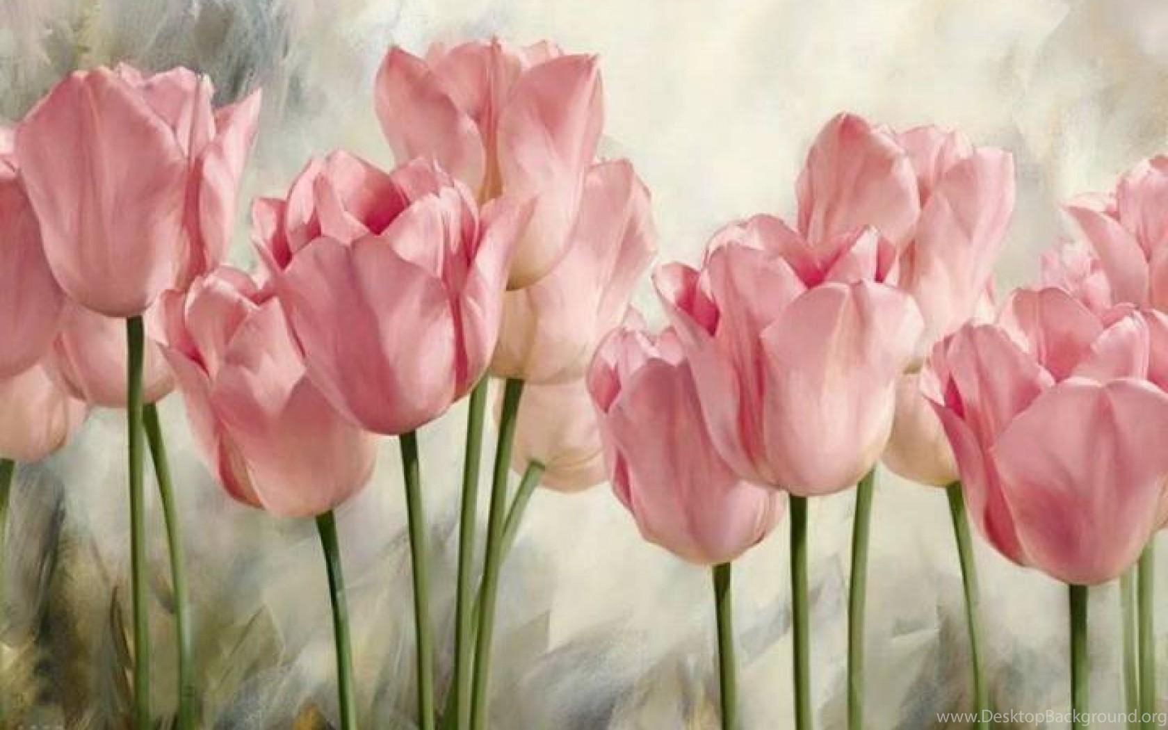 1680x1050 Soft Wallpaper >> Background With Quality HD Desktop Background