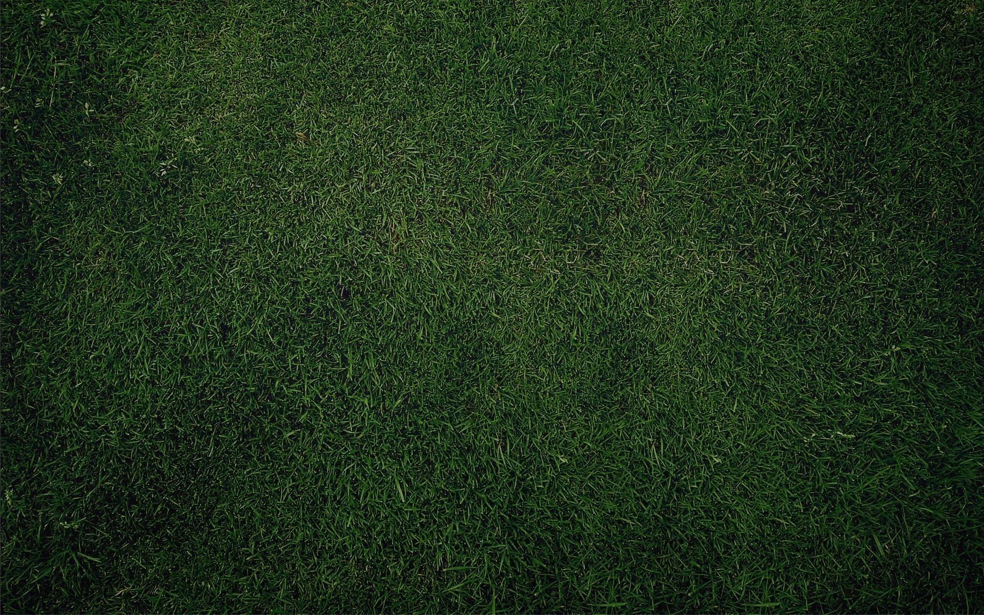 1920x1200 grass green texture wallpaper