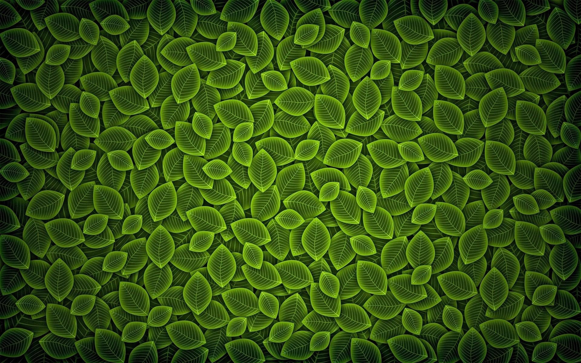 1920x1200 Green leaves texture background wallpaper download. Wallpaper, picture, photo