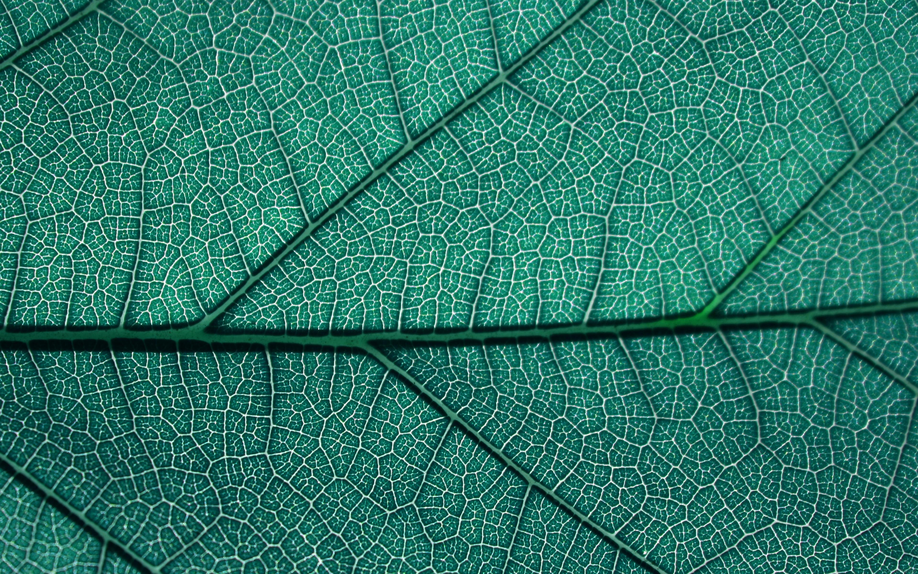 3840x2400 Download these beautiful texture wallpaper for iPhone, iPad