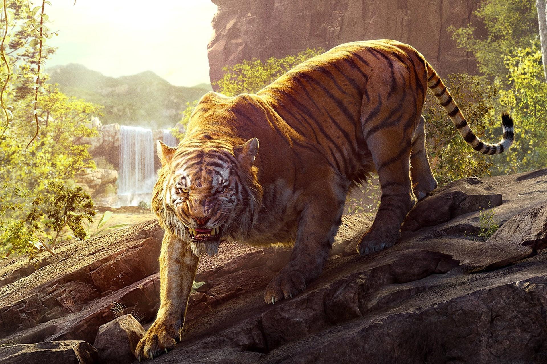 8K Tiger UHD Wallpapers - Top Free 8K Tiger UHD Backgrounds ...