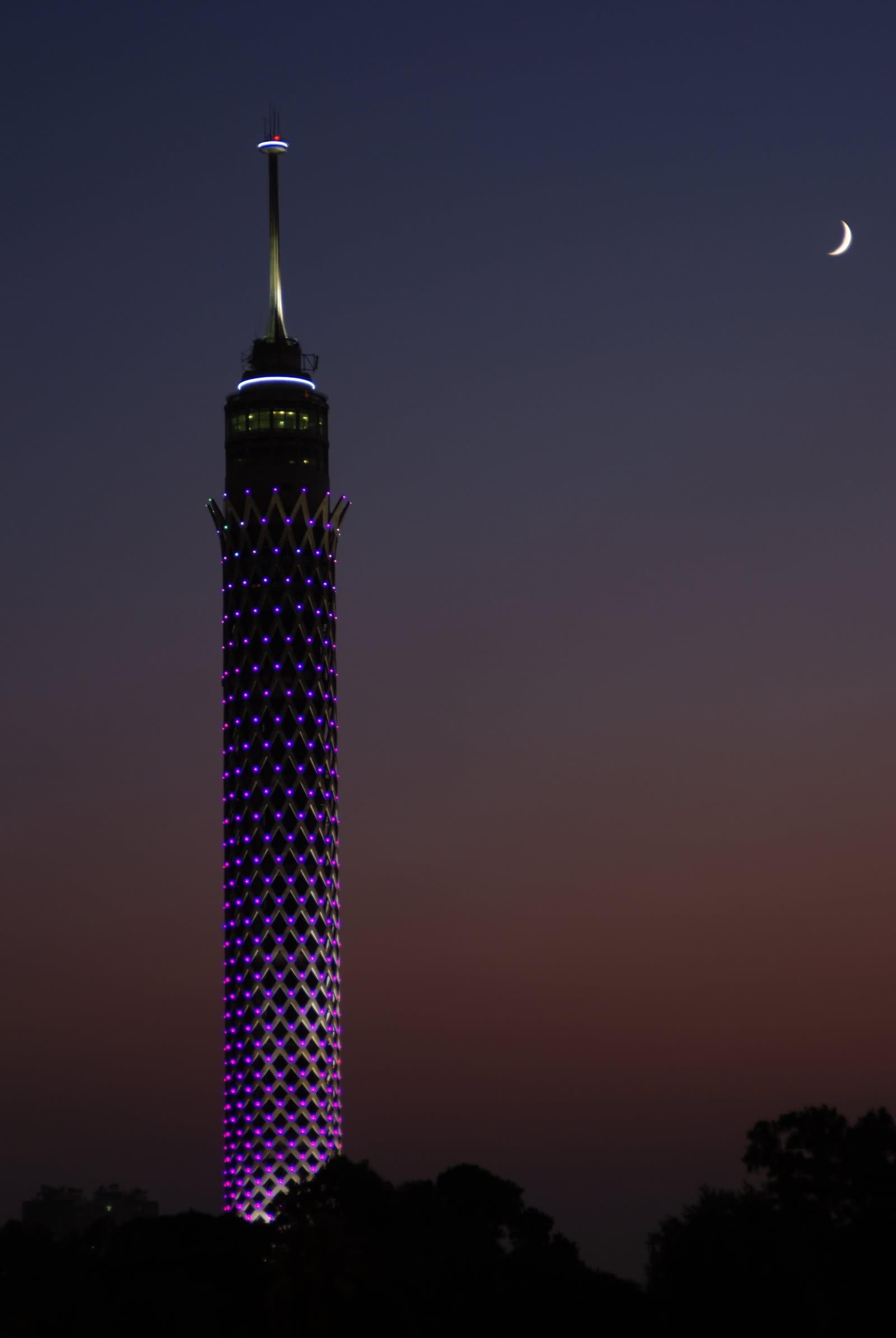 1600x2390 Incredible Night View Image And Picture Of Cairo Tower, Egypt