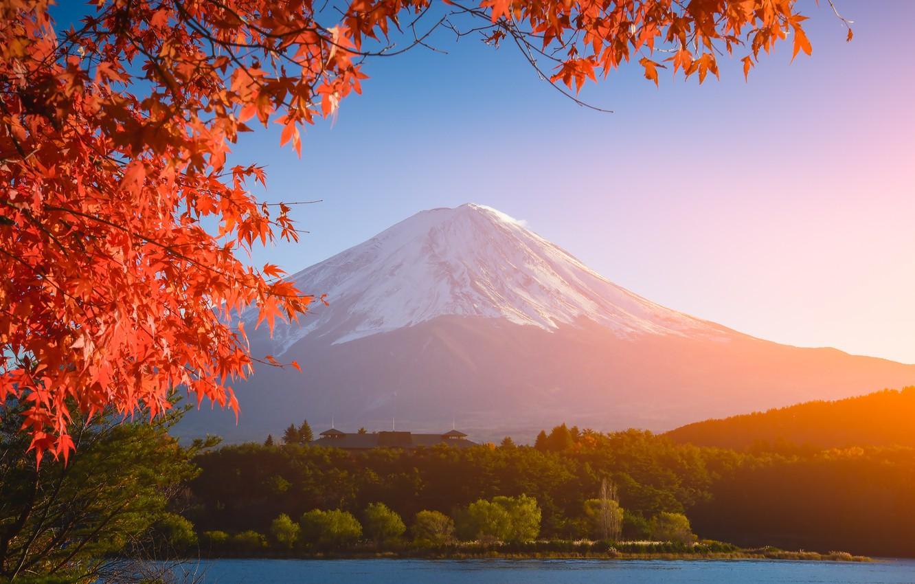 1332x850 Free download Wallpaper autumn the sky leaves colorful Japan Japan red [1332x850] for your Desktop, Mobile & Tablet. Explore Wallpaper Fuji. Mt Fuji Wallpaper, Mount Fuji Wallpaper