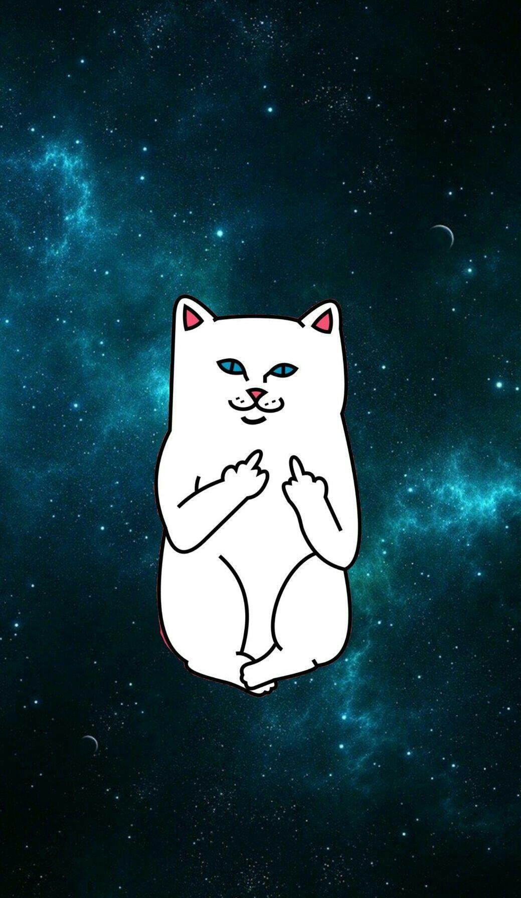 1039x1792 Dope Cat Wallpaper