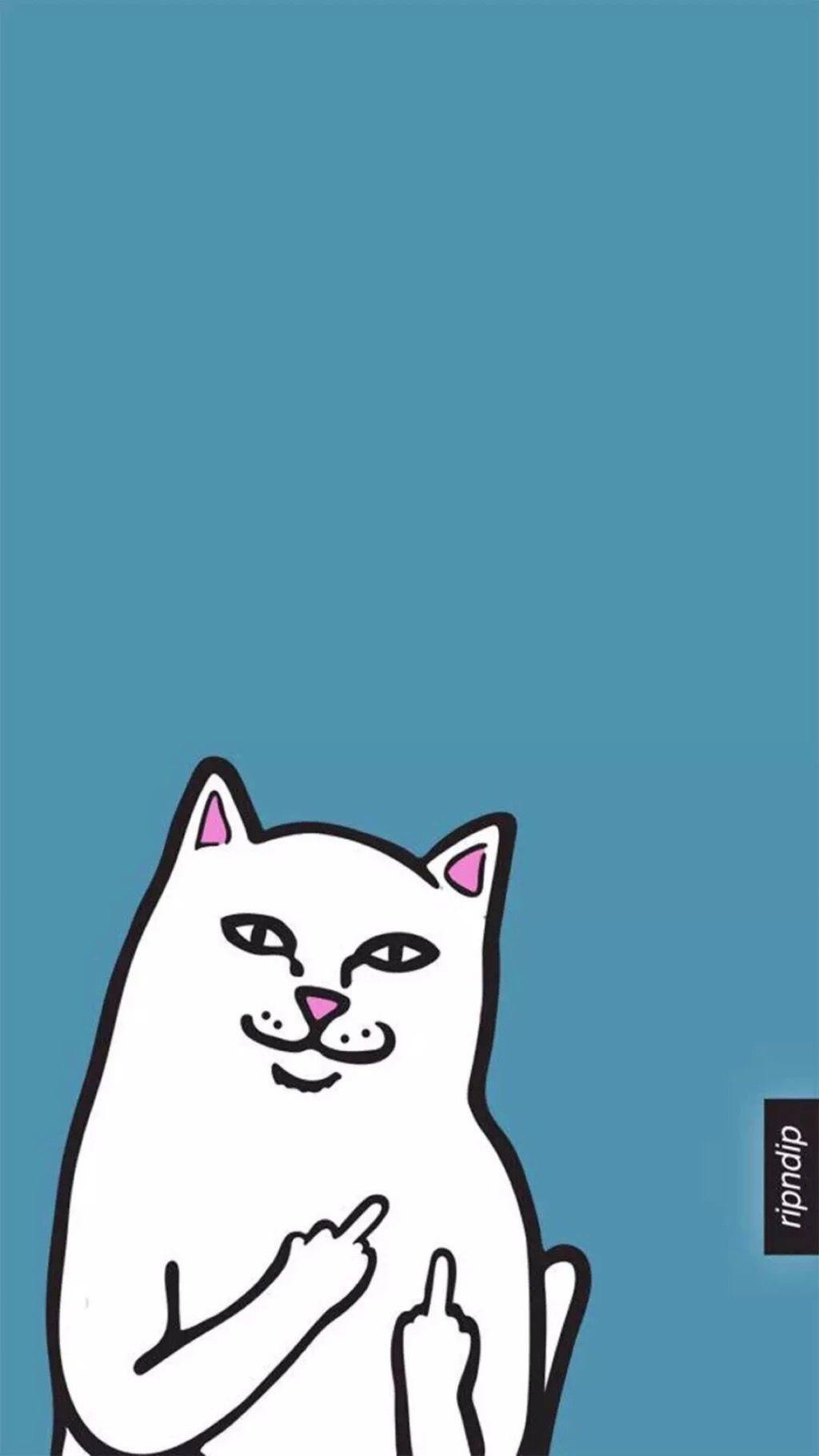 1024x1820 Swag Cat Wallpaper