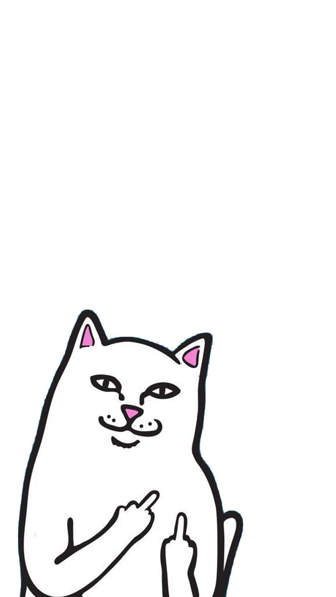 1080x1920 Zumiez Cat Wallpaper