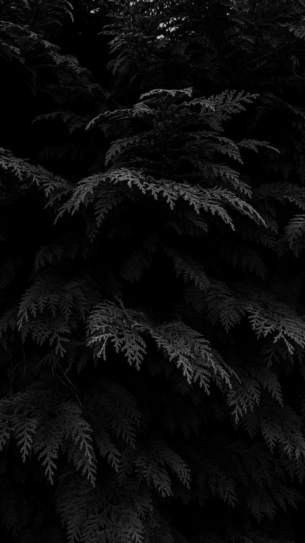 1040x1849 iPhone Black And White Color Wallpaper