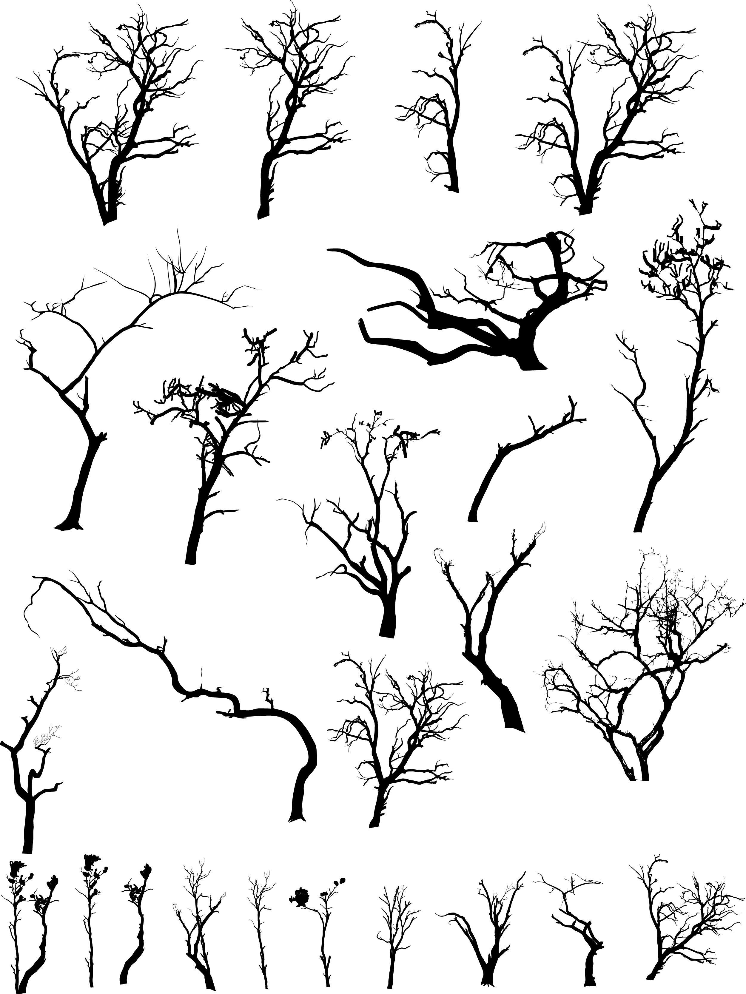 2500x3332 vector tree. Dead Trees Vector Set. Photohop Graphics. Branch drawing, Tree drawing, Tree art