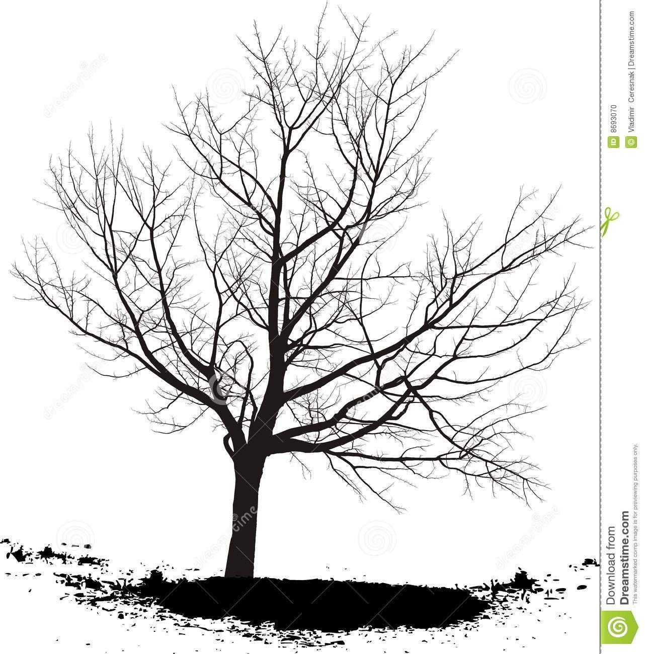 1282x1300 Cherry Tree (1282×1300). Black And White Landscape, Tree Drawing, Winter Trees