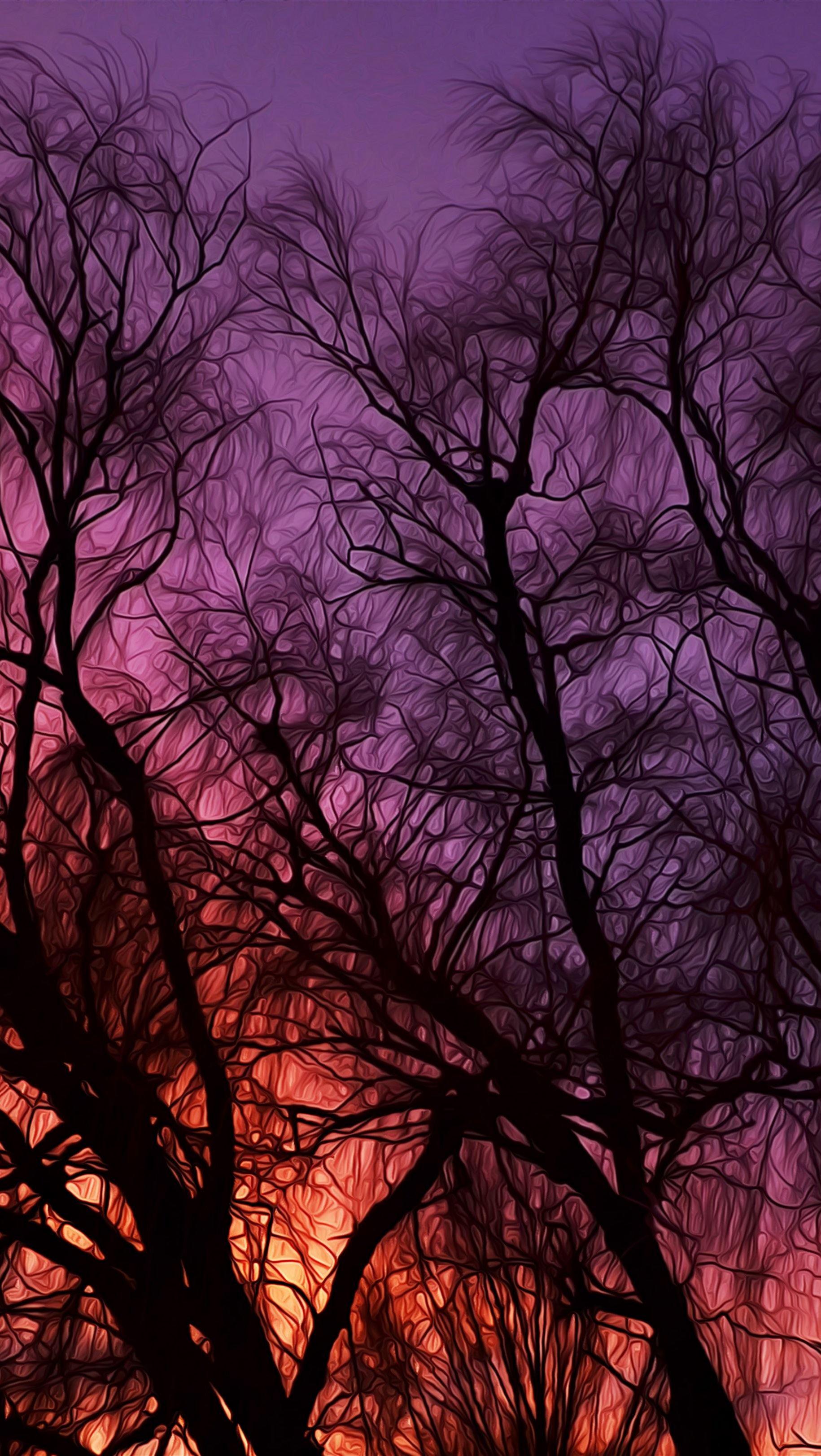 1830x3245 Painting of Tree Branches in the Sunset Wallpaper