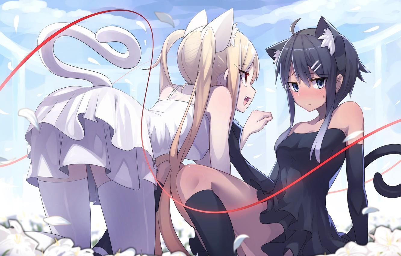 1332x850 Wallpaper Girls, anime, pair, neko image for desktop, section арт