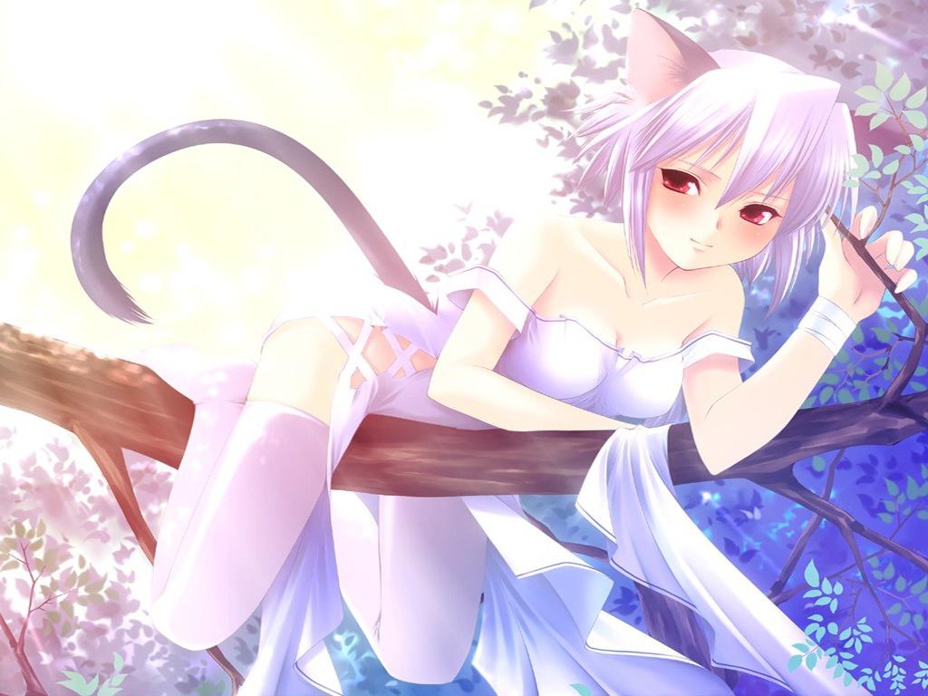 1024x768 21++ Wallpaper De Neko Anime