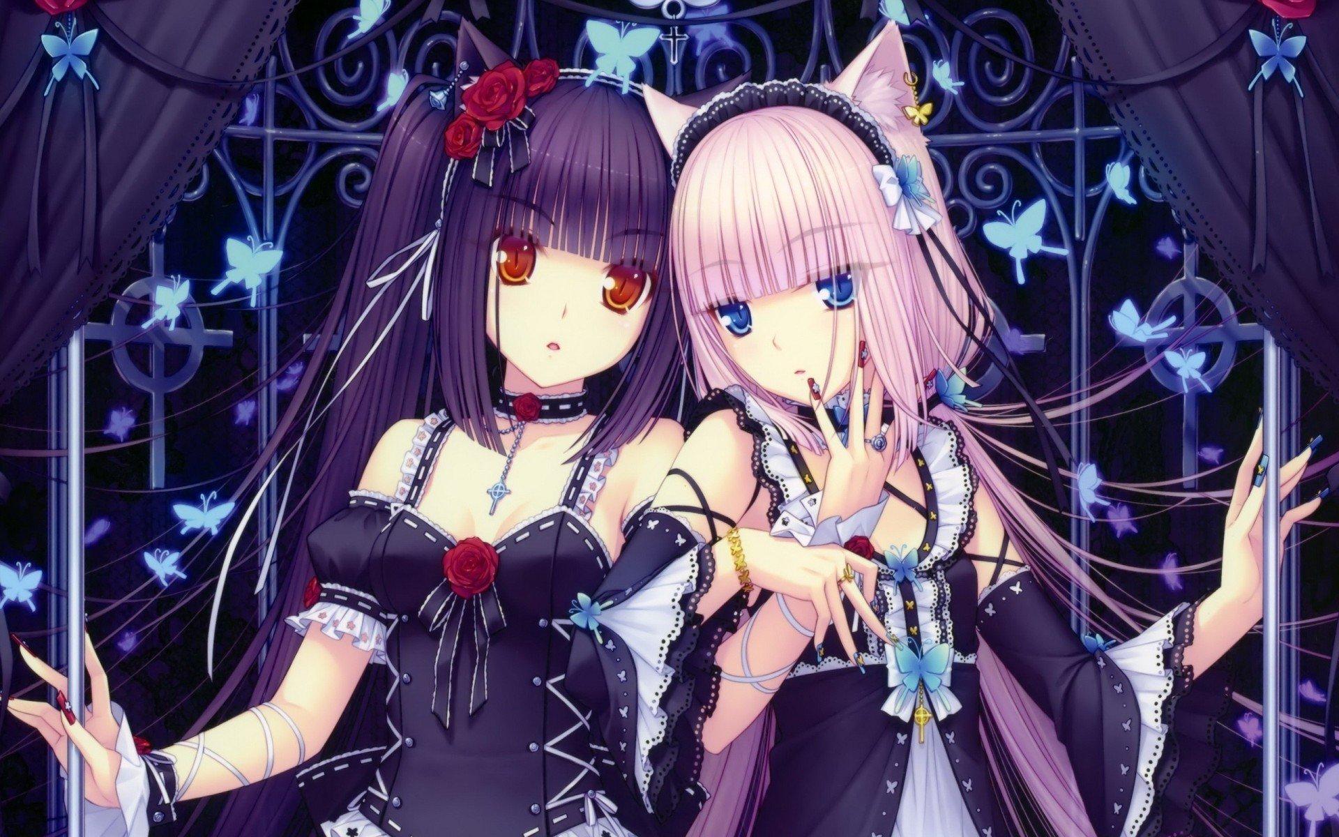 1920x1200 anime girls, Anime, Neko Para Wallpaper HD / Desktop and Mobile Background