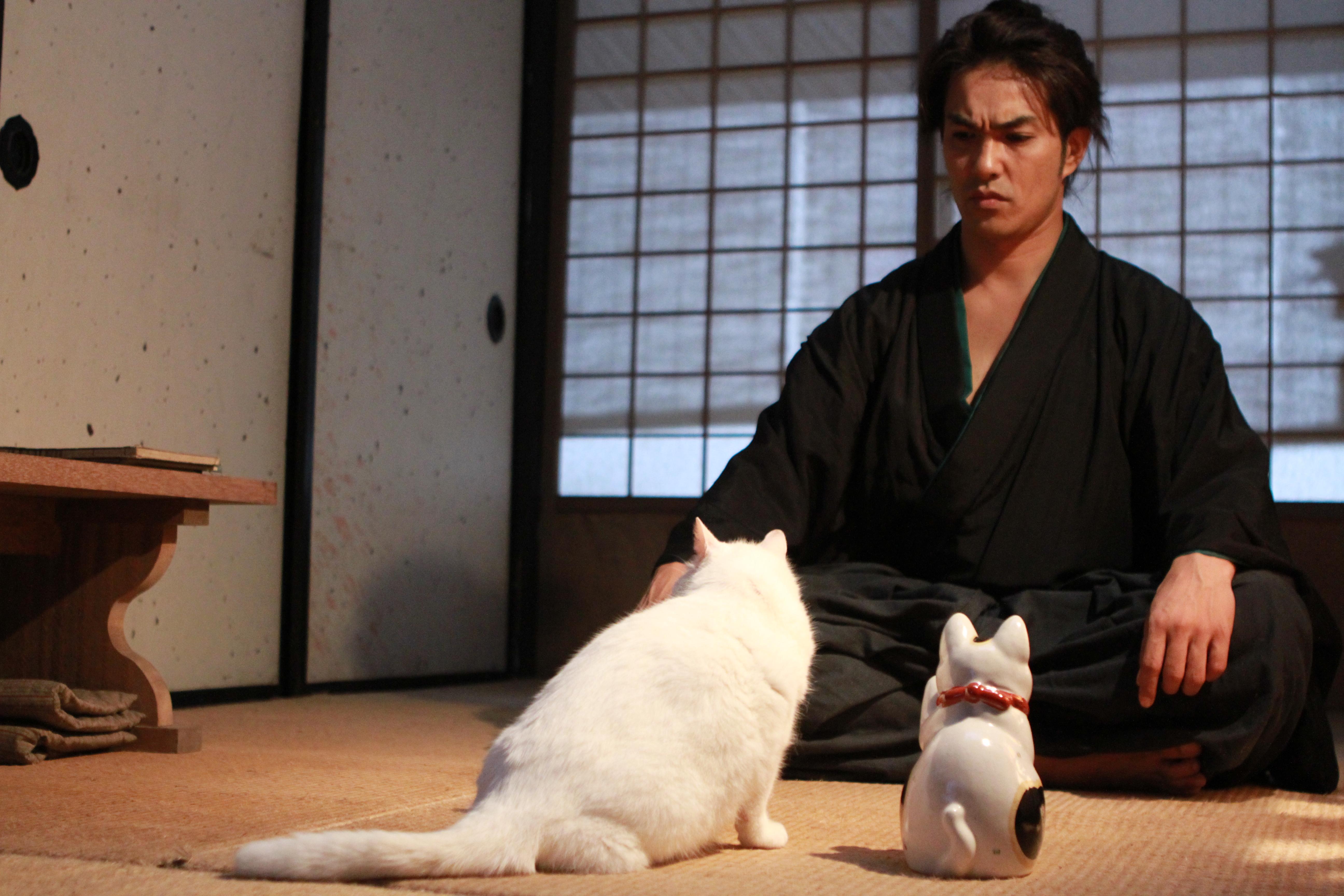 5184x3456 Neko Samurai the TV Drama: Season 1｜SALES｜NIKKATSU CORPORATION