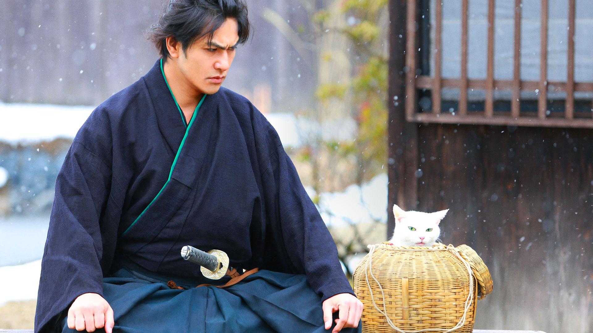 1920x1080 Watch Samurai Cat