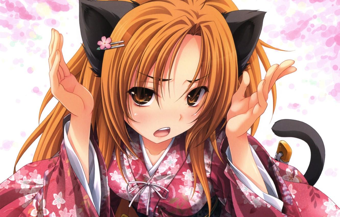 1332x850 Wallpaper sword, nothing, cat, katana, ken, blade, samurai, japanese, kimono, bishojo, tanto, or both, The Ambition of Oda Nobuna, Room No Yabou Nob image for desktop, section сёнэн