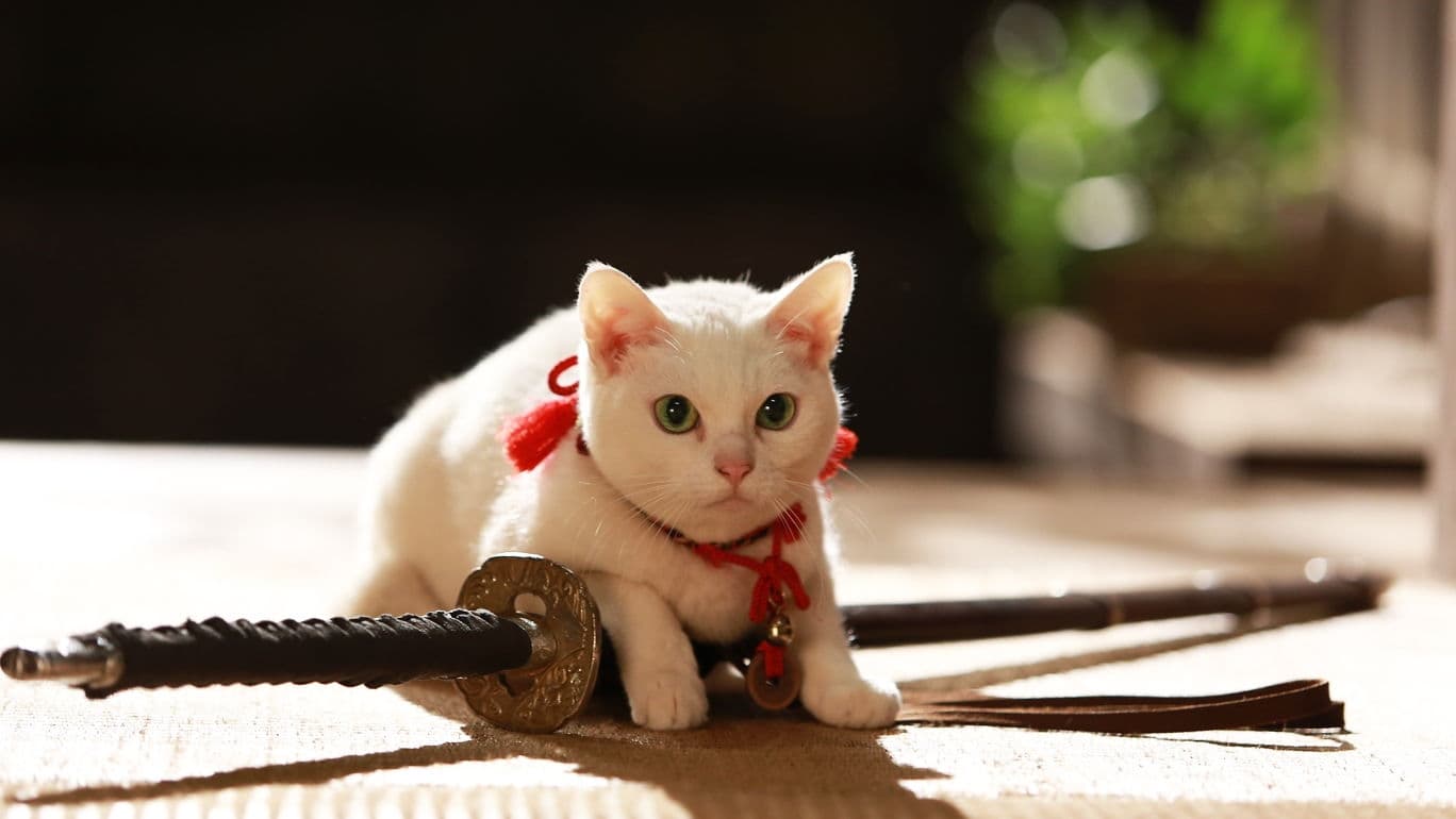1368x770 Samurai Cat 2: A Tropical Adventure (2015)
