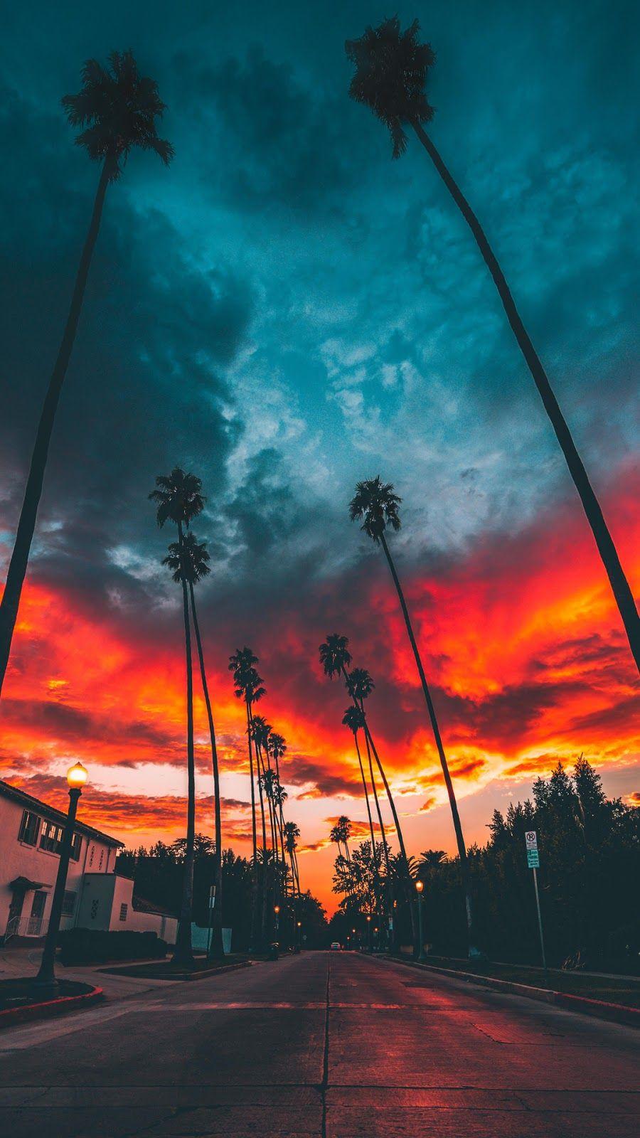 900x1600 Free download Golden hour Beautiful Wallpaper Hypebeast wallpaper Sunset [900x1600] for your Desktop, Mobile & Tablet. Explore Sky Hypebeast Wallpaper. Sky Hypebeast Wallpaper, Hypebeast Wallpaper, Hypebeast Wallpaper