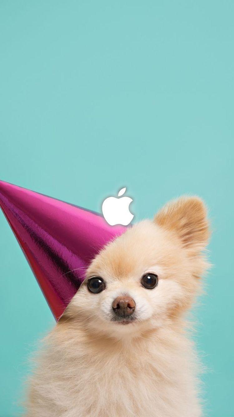 750x1335 Dog Wallpaper are added. Beautiful and cute dogs for your mobile phone. Follow us on Facebook for more. Dog wallpaper iphone, Cute dog wallpaper, Dog wallpaper