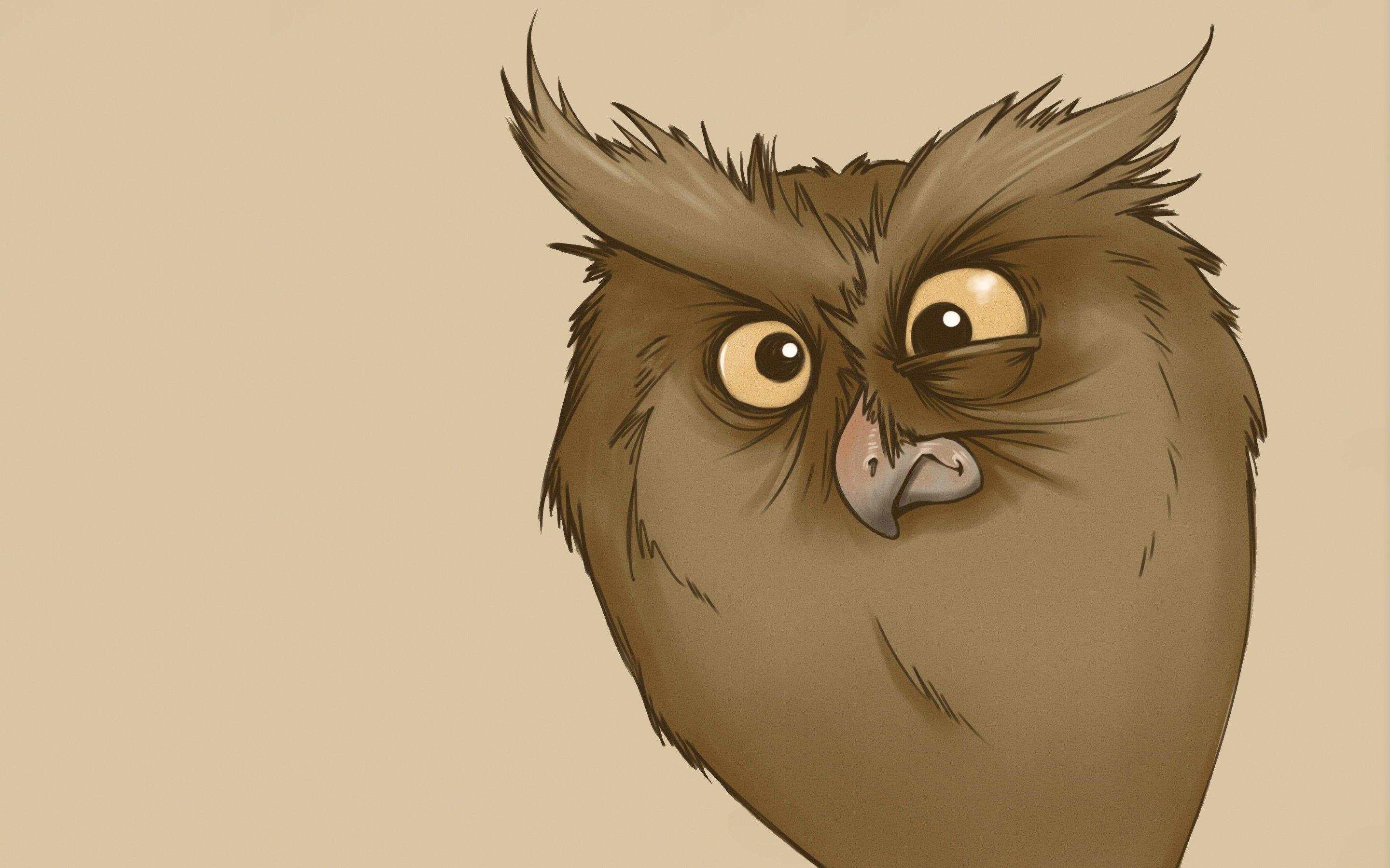 2880x1800 funny, Look, Owl, Minimalism, Owl, Cartoon, Bird Wallpaper HD / Desktop and Mobile Background