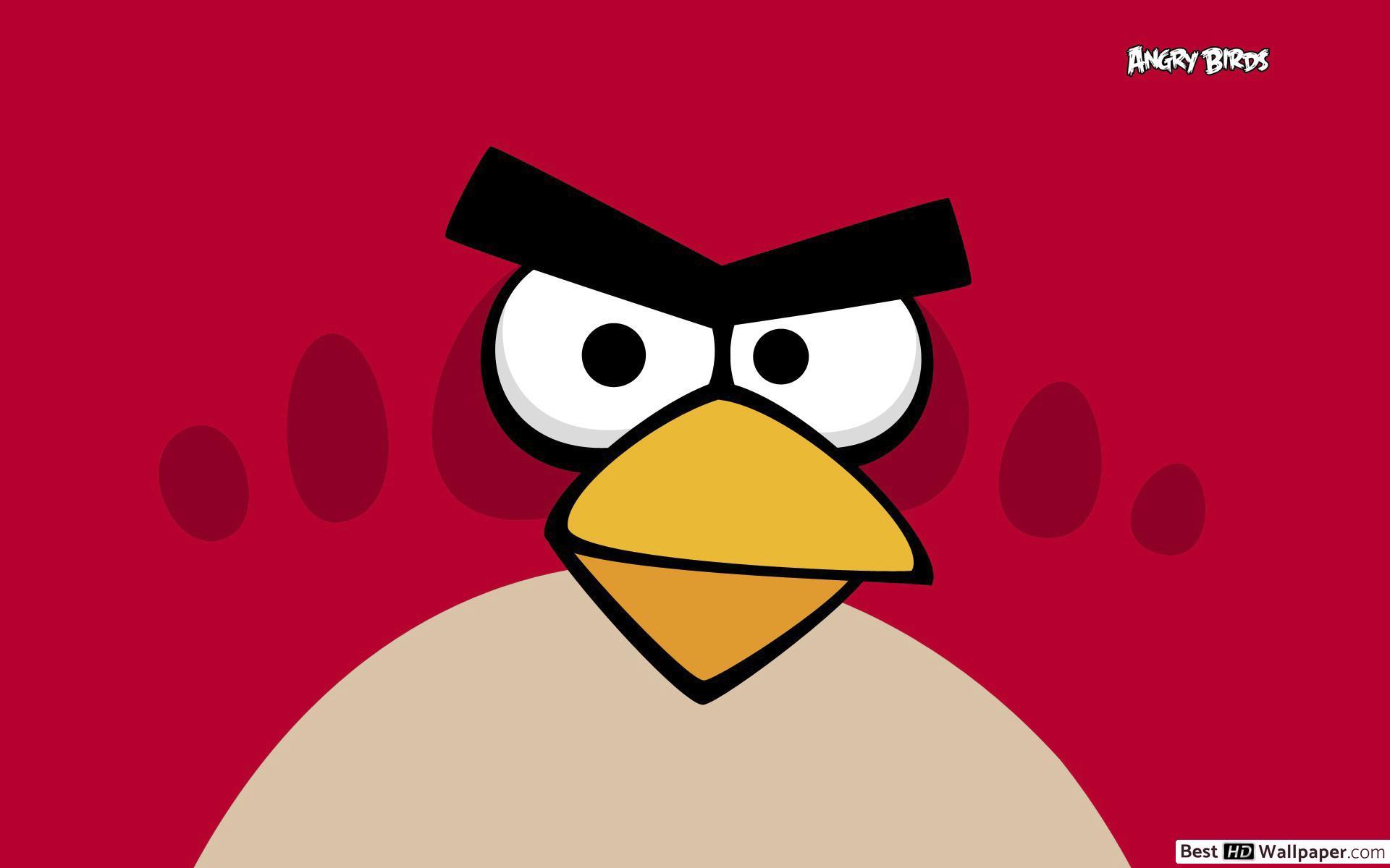 1920x1200 Angry Birds fat bird HD wallpaper download