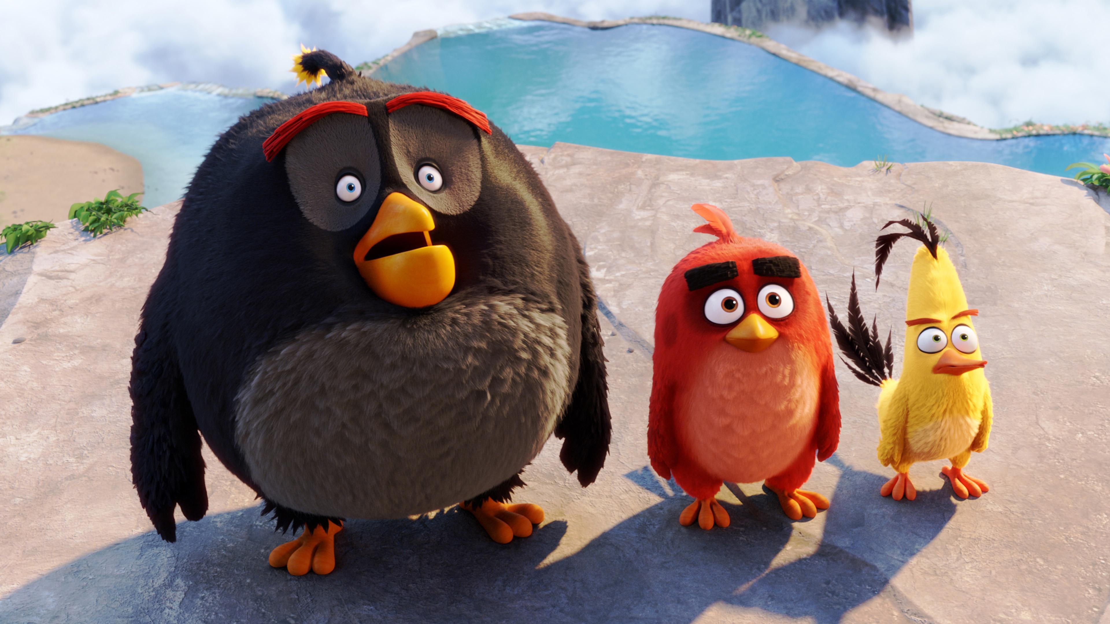 3840x2160 Bomb Red Chuck Angry Birds Wallpaper in jpg format for free download