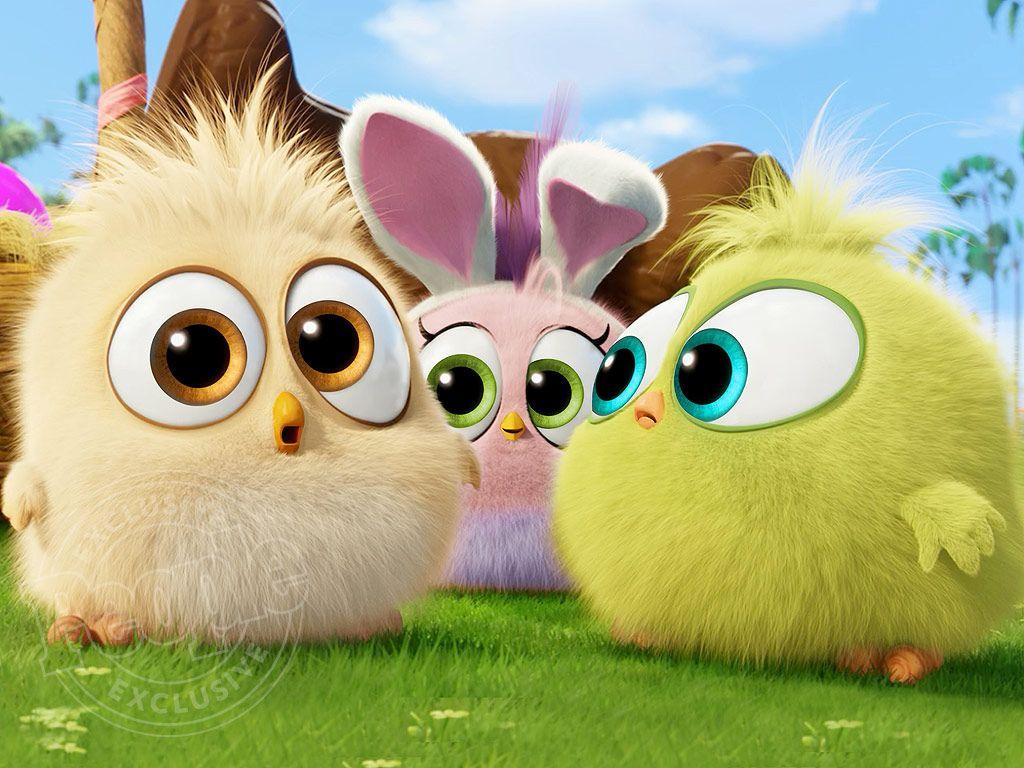 1024x768 The Angry Birds Movie: See The Hatchlings In Easter Themed Clip. Angry Birds Movie, Angry Birds, Cute Birds