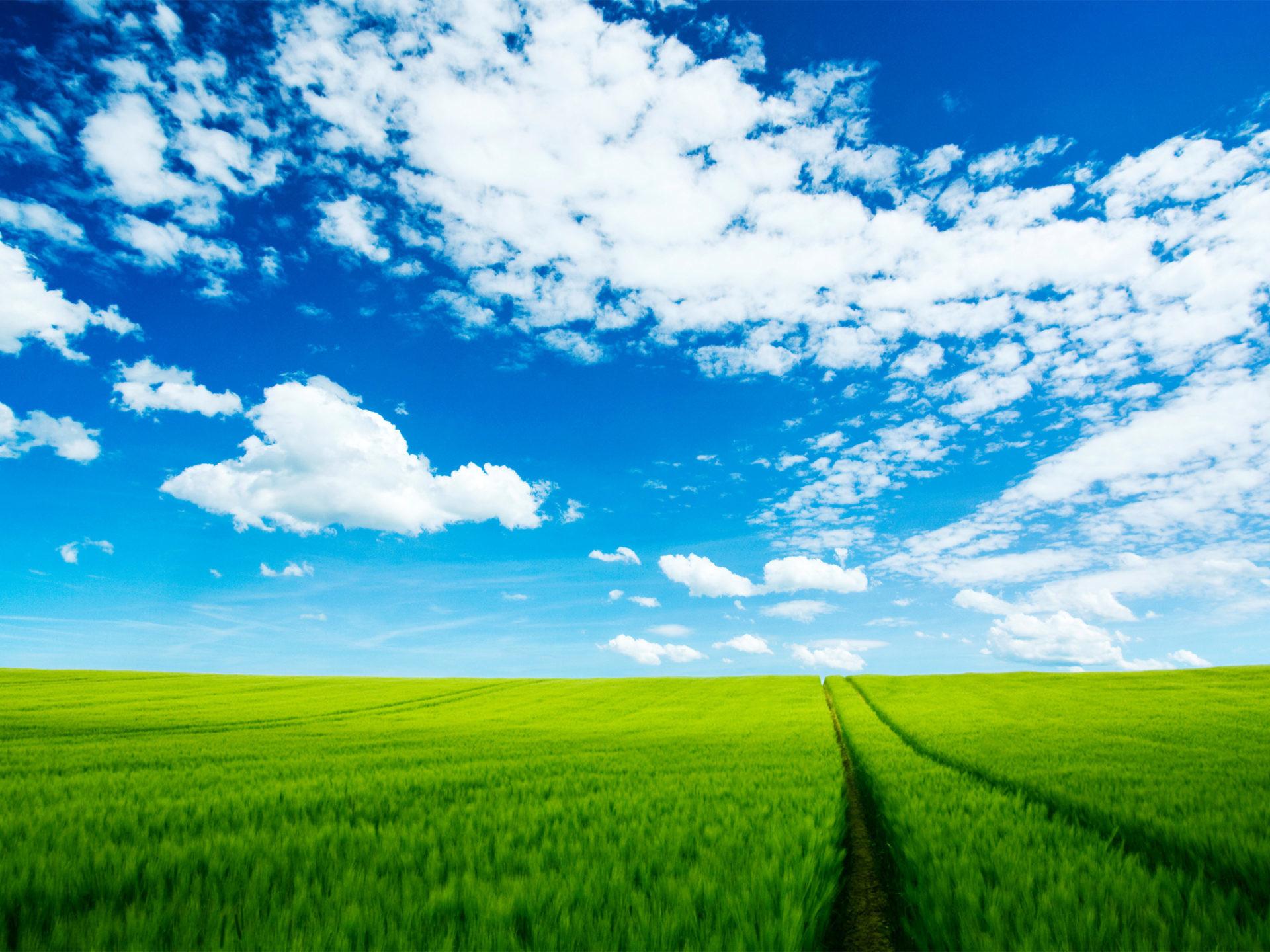 1920x1440 Nature Desktop Pc 5k Ultra HD Wallpaper Data Src