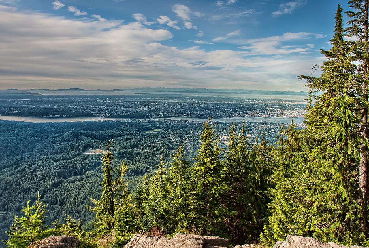 1280x862 Photos Canada North Vancouver Spruce Nature Sky Scenery Forests