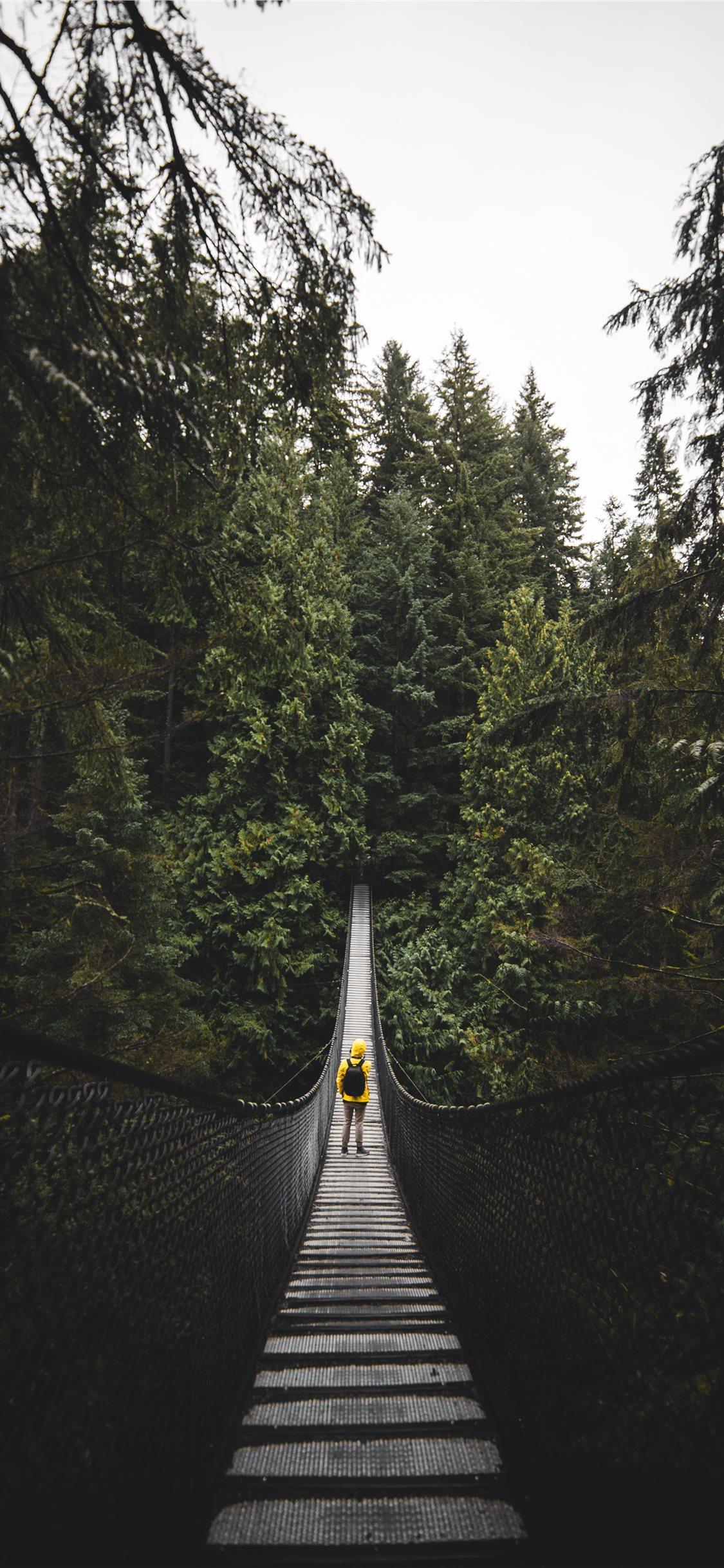 1125x2436 Lynn Valley Park North Vancouver Canada iPhone X Wallpaper Free Download