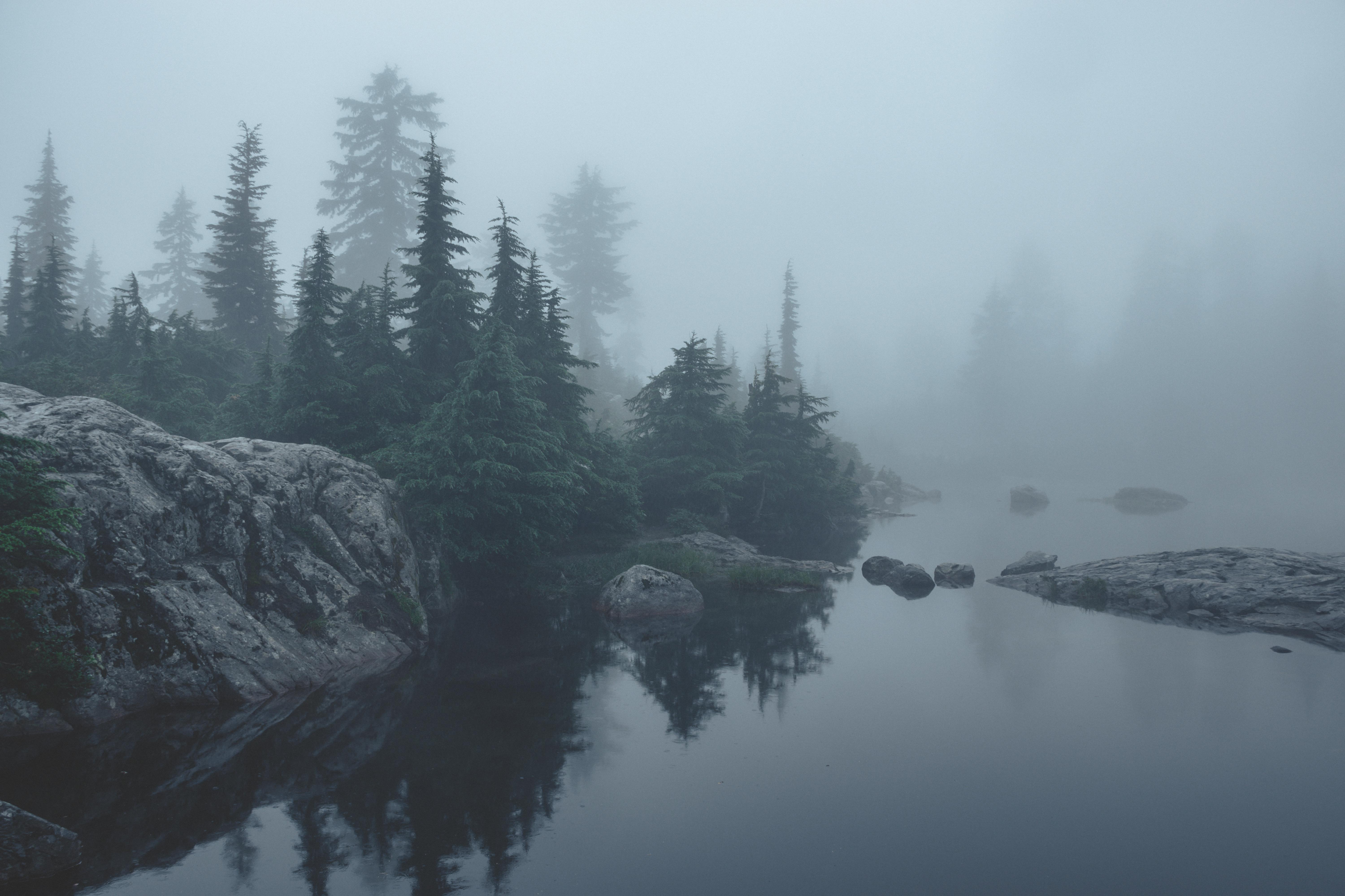 6000x4000 Fog on a mountain side lake Vancouver, BC. Canada [OC][6000x4000]: EarthPorn