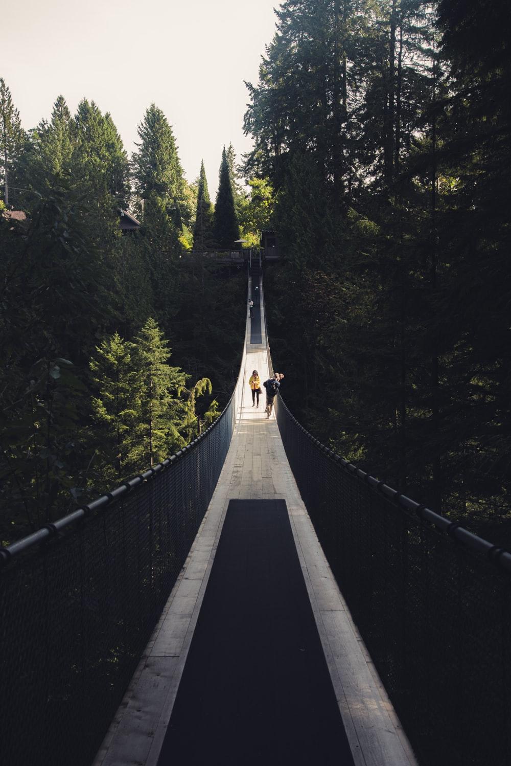 1000x1498 Capilano Suspension Bridge Picture. Download Free Image