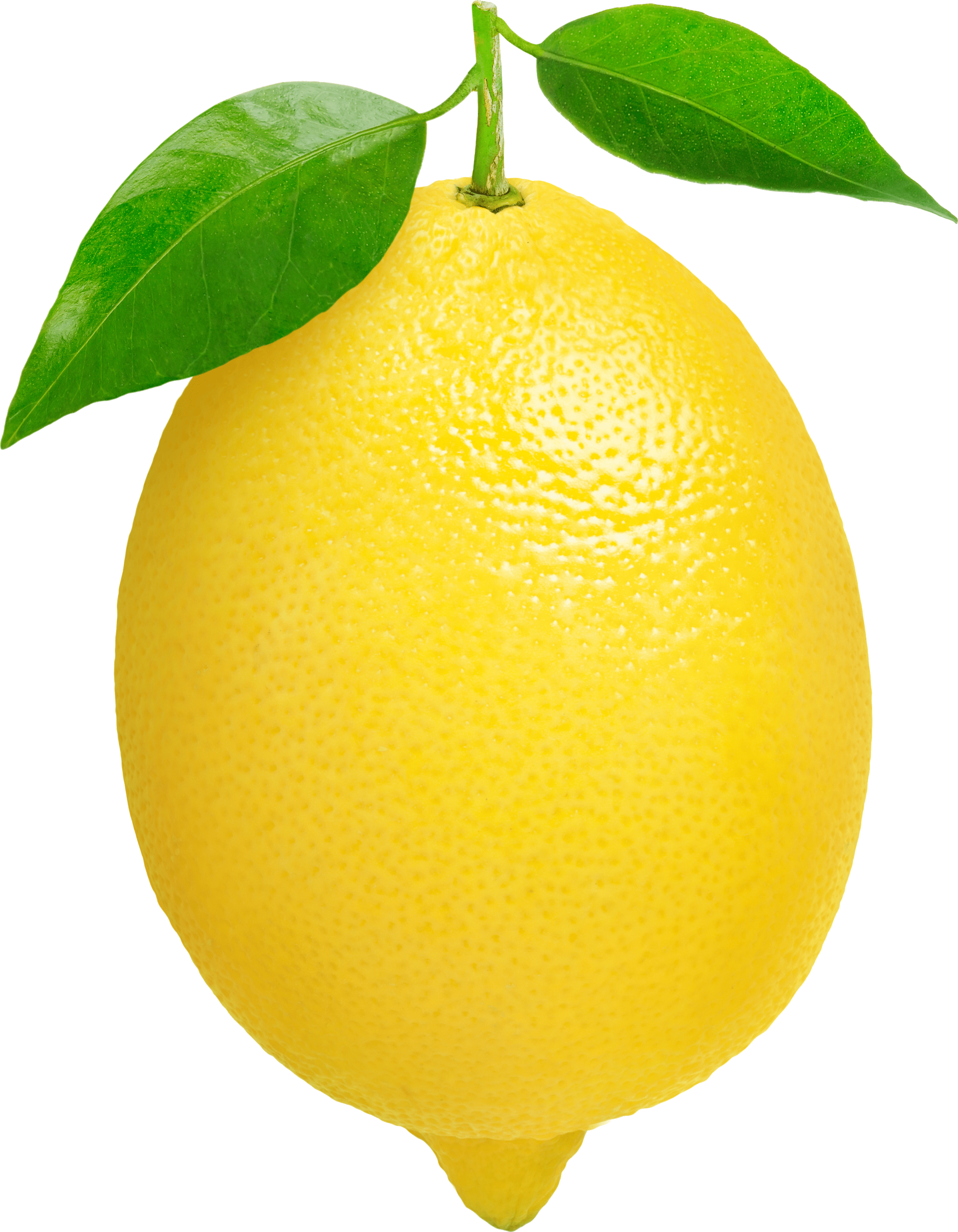 2561x3294 Best Lemon Clip Art