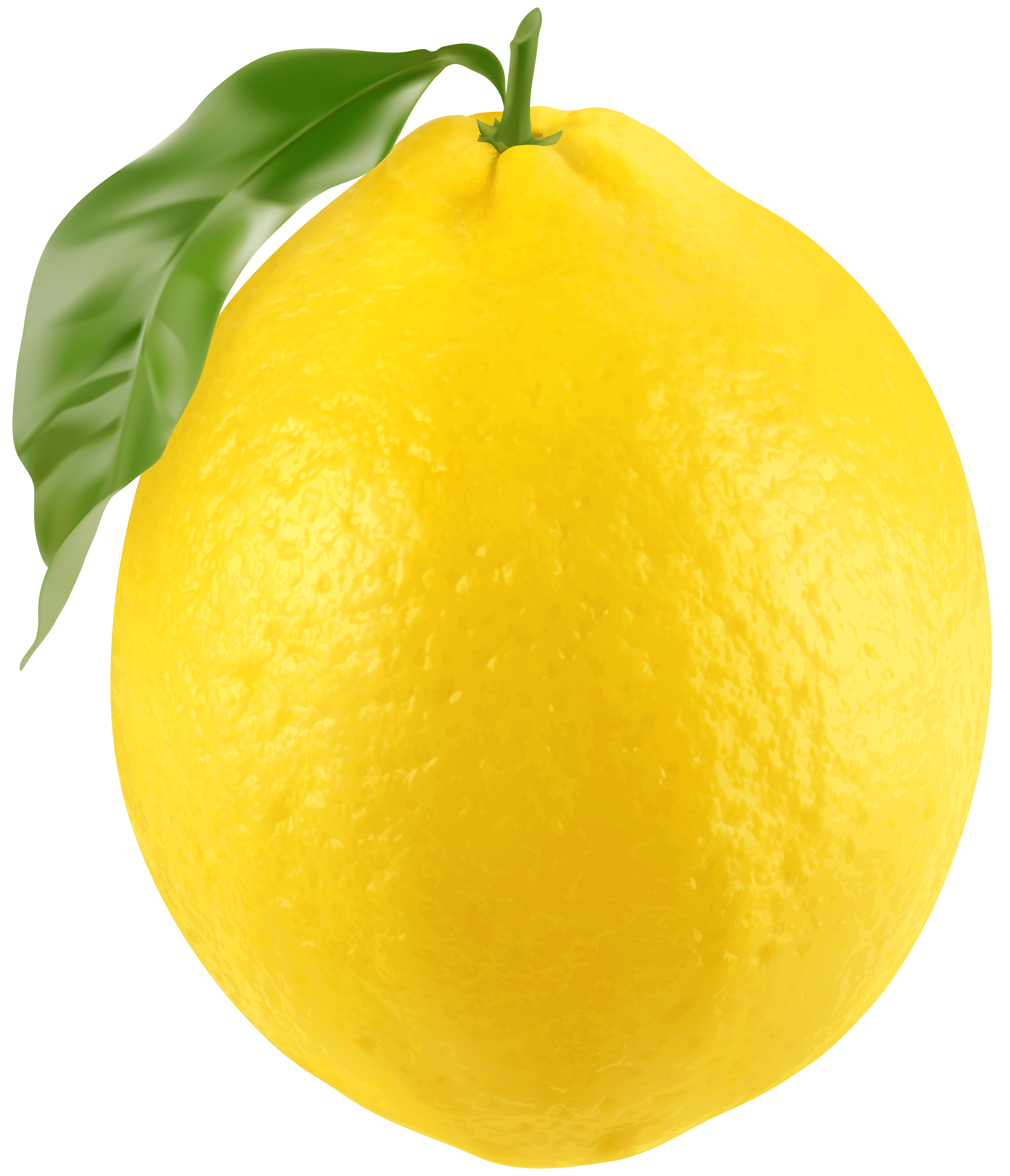 5154x6000 Fresh Lemon PNG Clip Art Image​-Quality Image and Transparent PNG Free Clipart